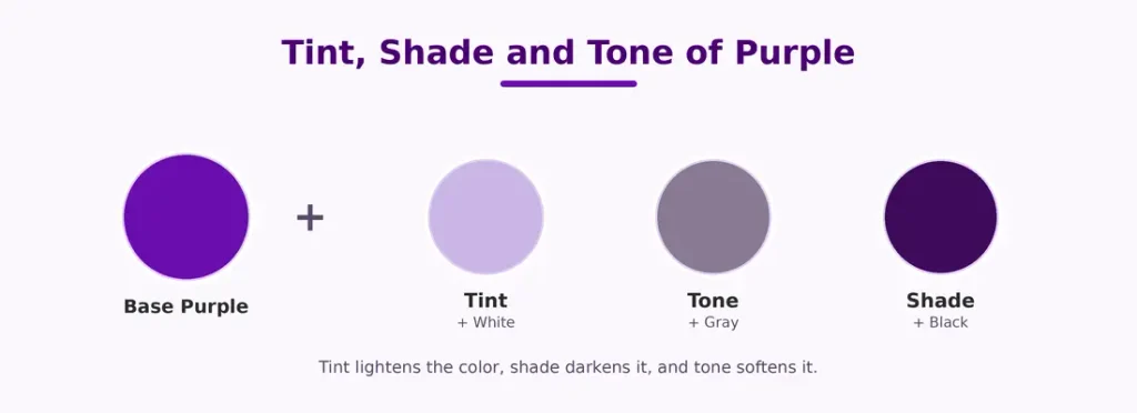 Base purple turning into a tint with white, a tone with grey, and a shade with black